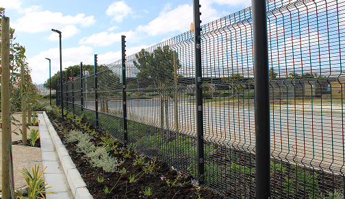 Project additional image