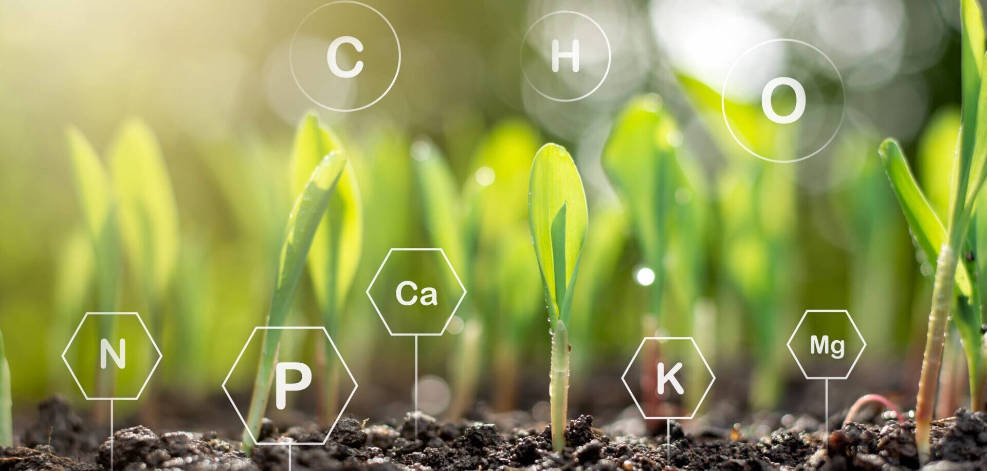 AdobeStock_300650586-scaled