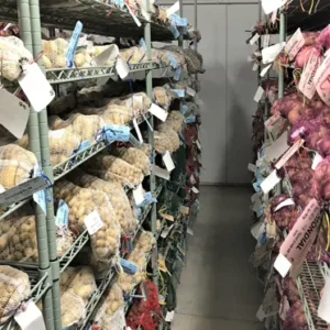 Cold Rooms - Image 4