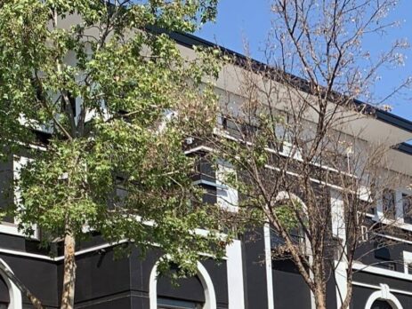 article Header image