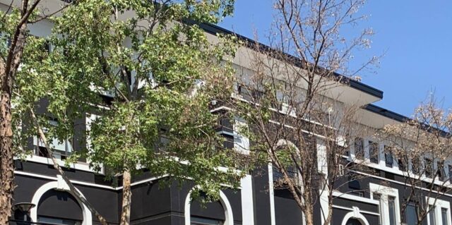 article Header image