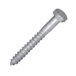 Coach Screw