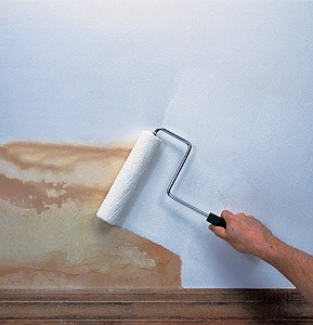 Paint Primer - Red Oxide