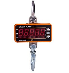 OCS Crane Scale